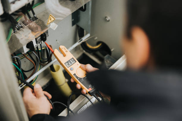 Best Ceiling Fan Installation Electrician  in Royalton, MN